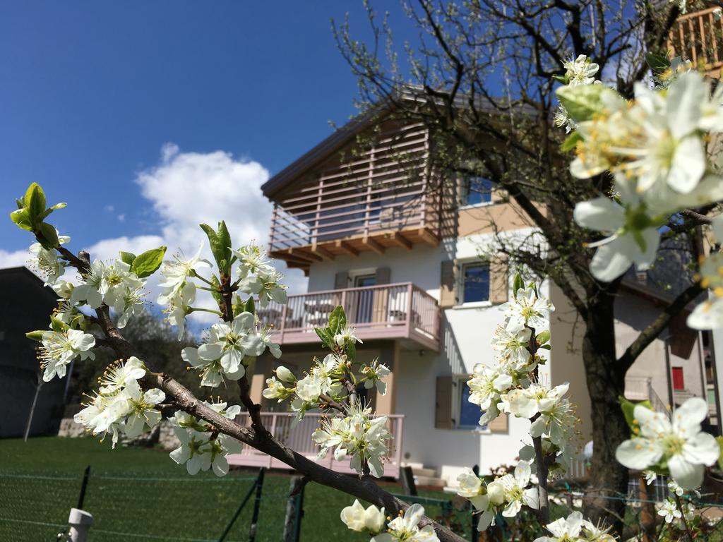 B&B Il Piccolo Principe Room And Breakfast Bieno  외부 사진