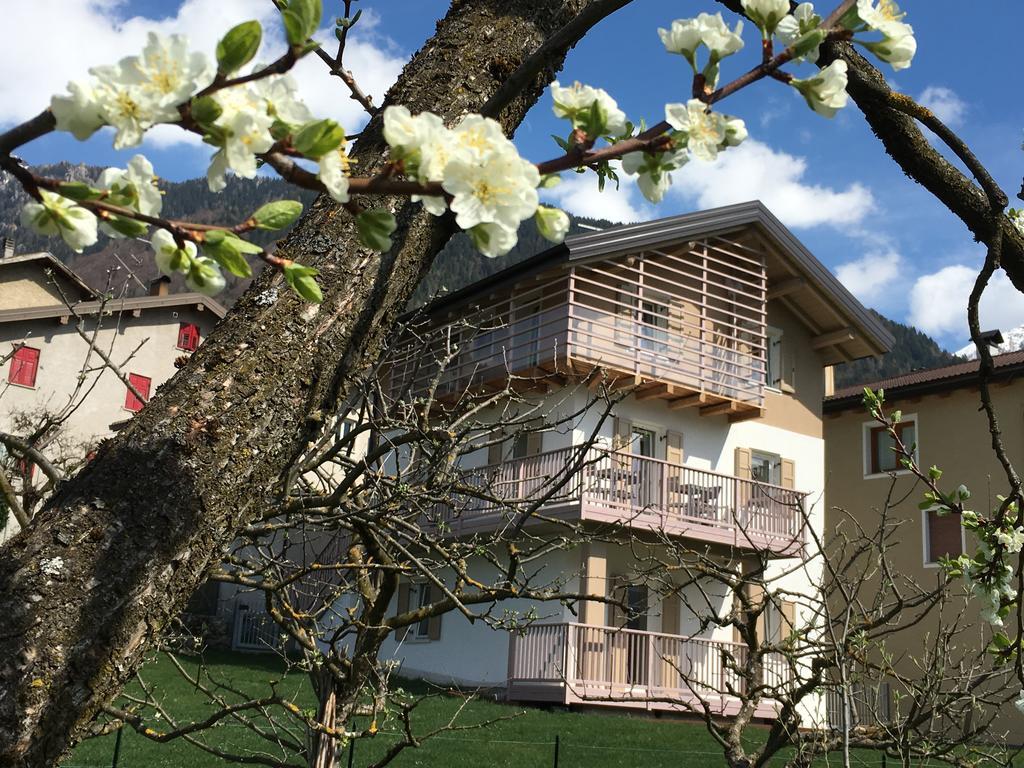 B&B Il Piccolo Principe Room And Breakfast Bieno  외부 사진